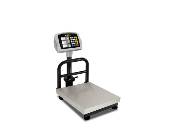 Báscula de Plataforma Plegable 80 kg